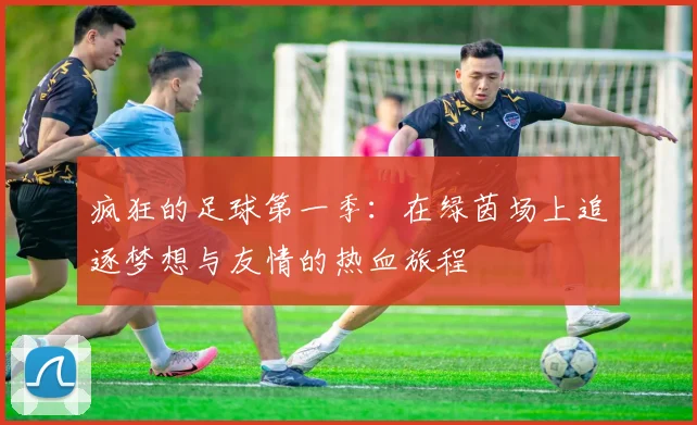 疯狂的足球第一季：在绿茵场上追逐梦想与友情的热血旅程